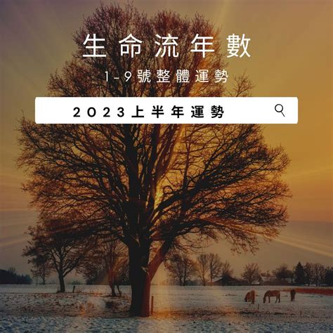 2023生命靈數流年7|2023生命流年數看整體運勢，找到年度幸運方向（含。